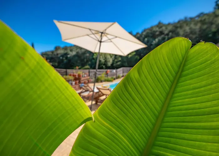 Kambos Saint Stephanos Villa *