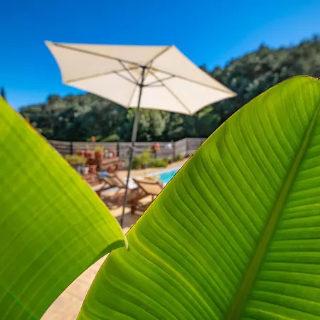 Kambos Saint Stephanos 빌라 *